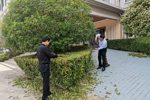 剪枝修葉，讓樹(shù)木茁壯成長(zhǎng)
